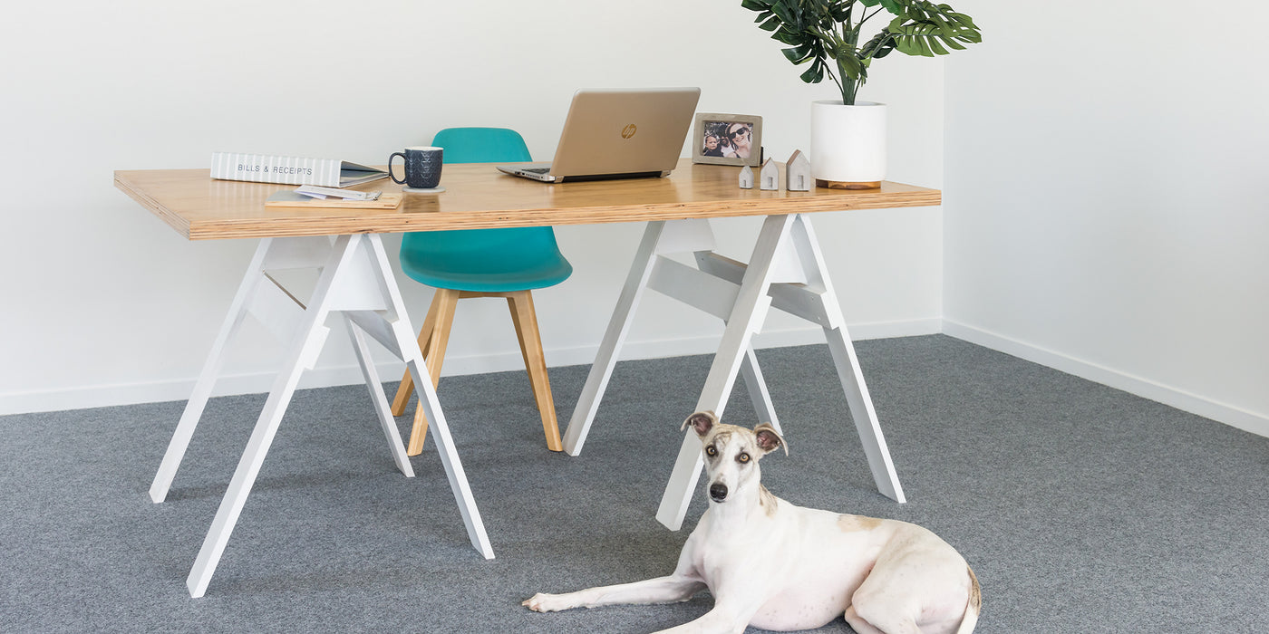 Garage Carpet video  - Ace of Space NZ