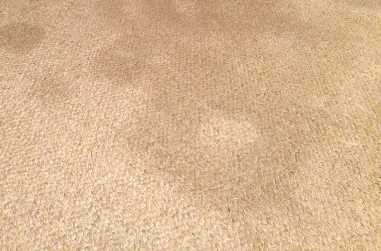 Garage Carpet - Household Carpet Surface
