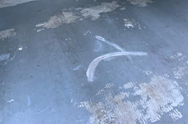 Garage Carpet - Painted Concrete Surface NZ