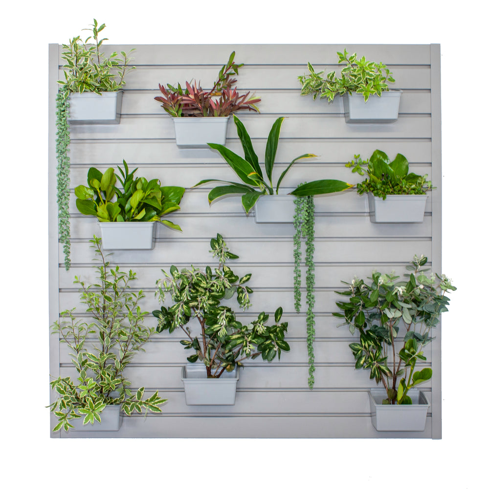 Stor-A-Wall - Green Wall Storage Kit - Ace of Space