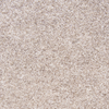 light brown garage carpet