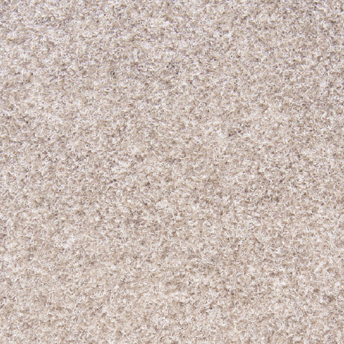 Light Brown Garage Carpet