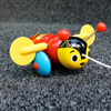 bee on carpet